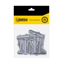 CHAZO CON TORNILLO 5/16 PLASTICO PQT X 10 UDUKE