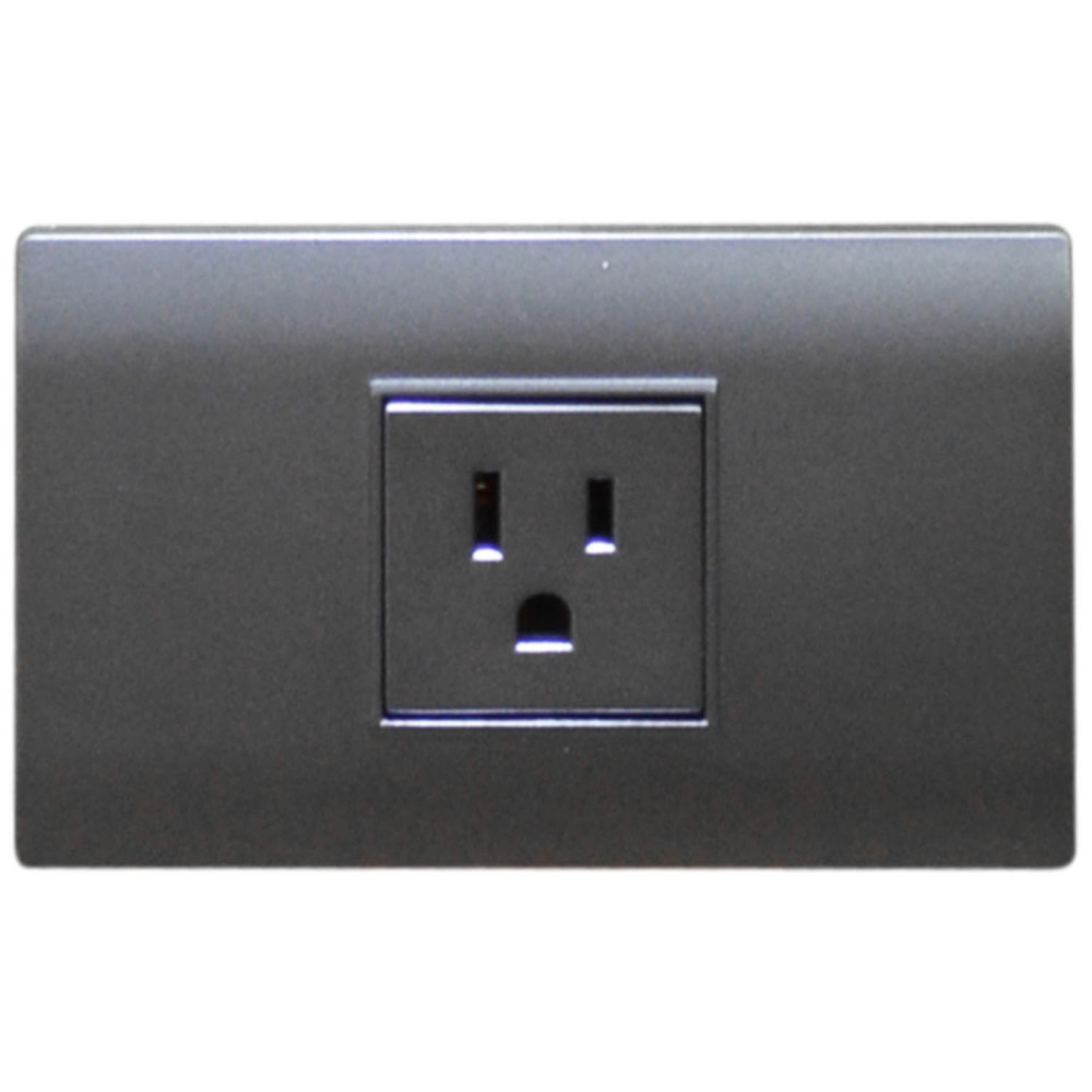 LINEA BK PLUS GRIS INCRUSTAR TOMA SENCILLO 110-220 (118K-08-FMGRY) (HT20709)