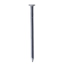 PUNTILLA COMUN CON CABEZA 1 1/2" PQT X 50 UDUKE