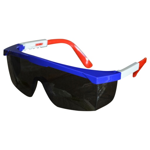 [11601] GAFA TIPO NORTON HOYOS LEN-NEGRO PATA COLOR ANTIEMPAÑANTE (HT70168/SF026-G/A)(NORMA ANSI Z87.1+EN166F+FIL UV)