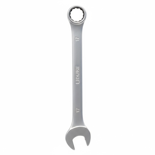 [12011] LLAVE MIXTA  17 MM CR/V UDUKE (HTY0012)