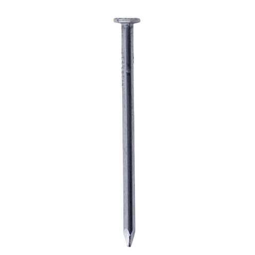 [1873AK] PUNTILLA COMUN CON CABEZA 1 1/2" PQT X 50 UDUKE